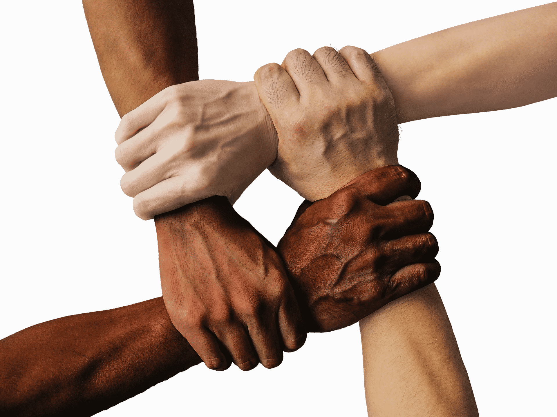 Diversity represented in people of different colors holding hands